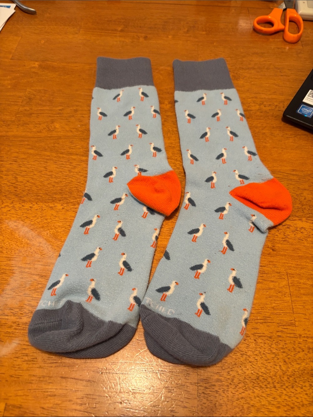 Unsimply Stitched Men's Patterned Socks ~ Sky Blue ~ Seagulls Size (8-13)